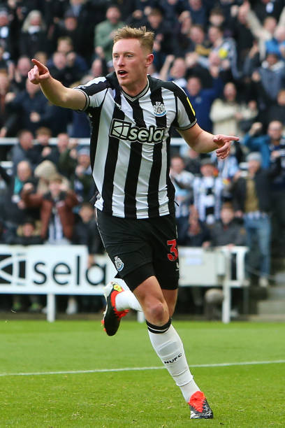 此外的一个 此外的一个